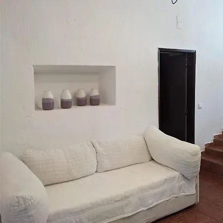 Novo *