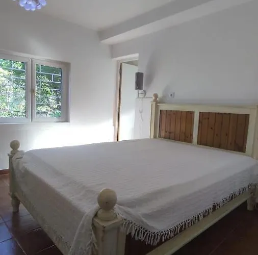 Novo Prázdninový dům *